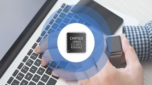 芯海科技 下游需求旺盛,存在不能完全保證產(chǎn)品及時(shí)供應(yīng)的風(fēng)險(xiǎn)