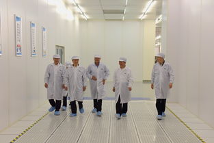 陳清泰調(diào)研長(zhǎng)江存儲(chǔ)與武漢新芯，共話(huà)中國(guó)芯片產(chǎn)業(yè)發(fā)展